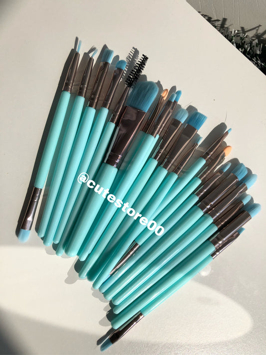 Set de 20 brochas al azar