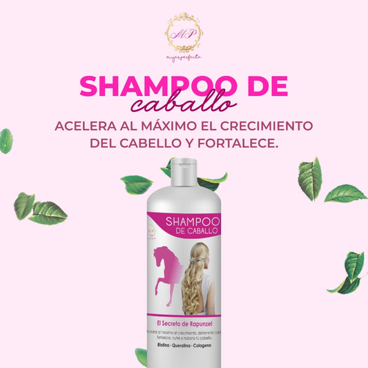 Shampoo de caballo